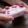 image8BitDo Ultimate 2C Bluetooth Controller for SwitchSwitch 2 Wireless Controller with 6Axis Motion Control Rumble Vibration Refined DPad and Bumpers and Hall Effect Joysticks PinkPink